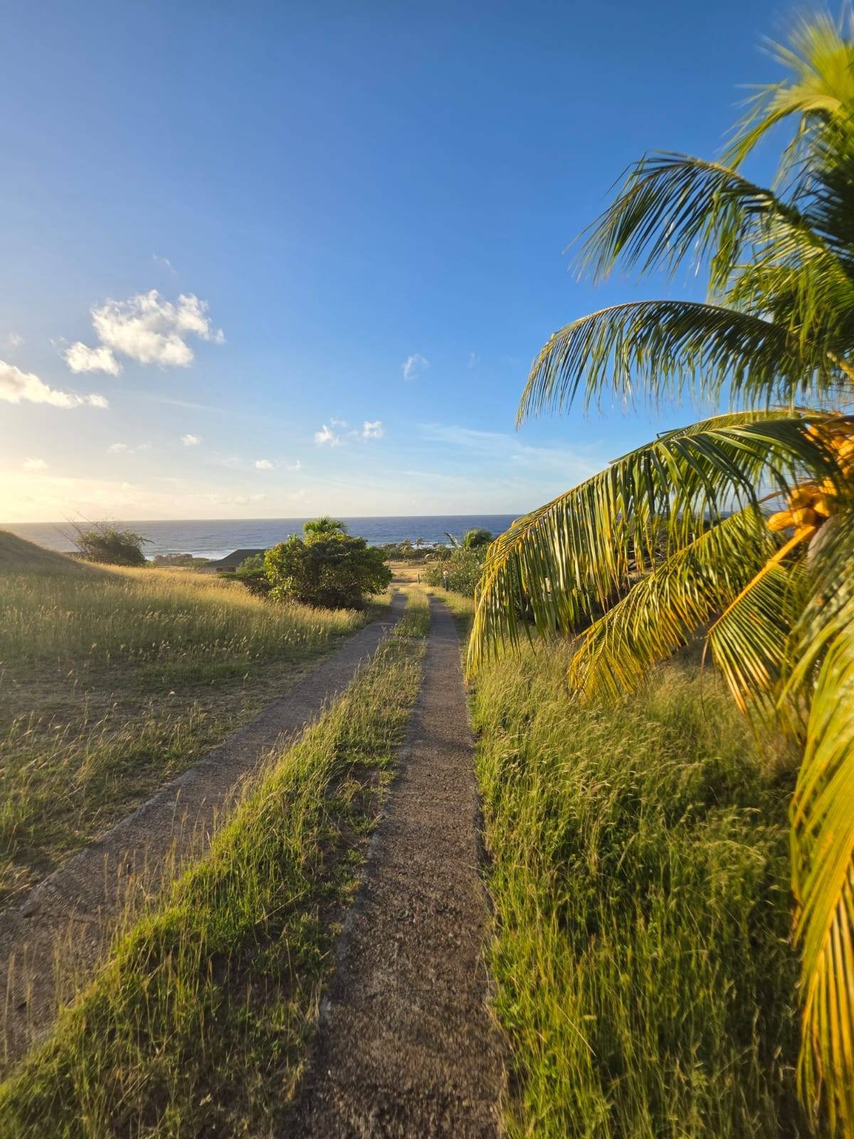 sunset-video-les-flots-bleus-la-desirade-gites-5